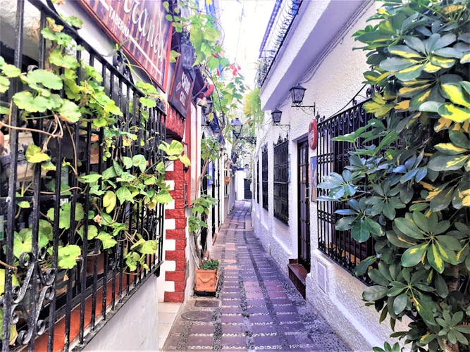 Small-group walking tour of Marbella
