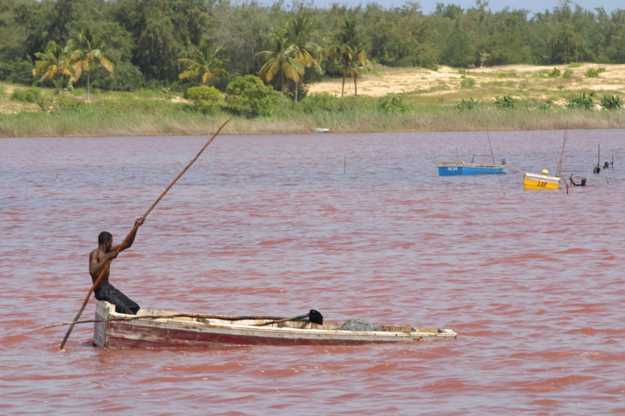 Excursão de dia inteiro a Pink Lake e Tortoise Reserve saindo de Saly ou Somone