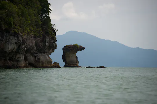 Excursion d'une journée au parc national de Bako au départ de Kuching