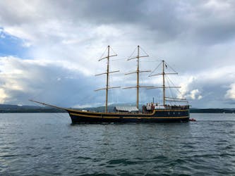 Cruzeiro de barco de 3 horas em Oslofjord com jantar