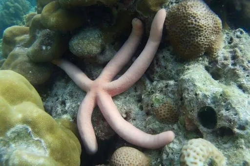 bokun-360427-4898933