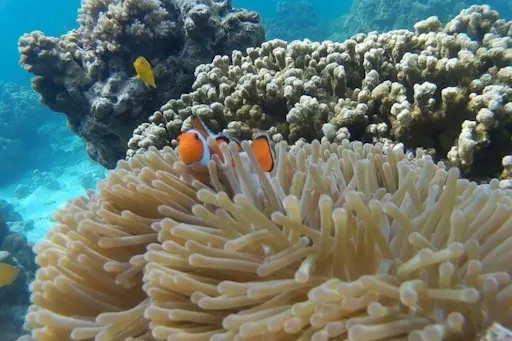 bokun-360427-4898934