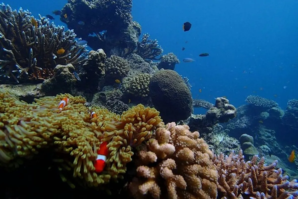 bokun-360427-4898939