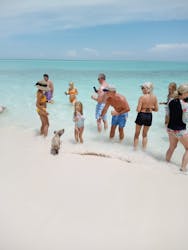 Visite en groupe des cochons nageurs de Nassau