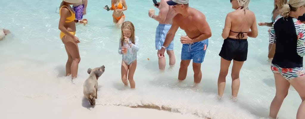 Nassau-schwimmende Schweine-Gruppentour