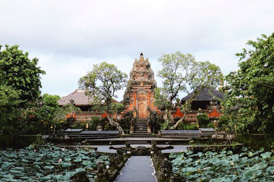 Ubud – privat utflykt