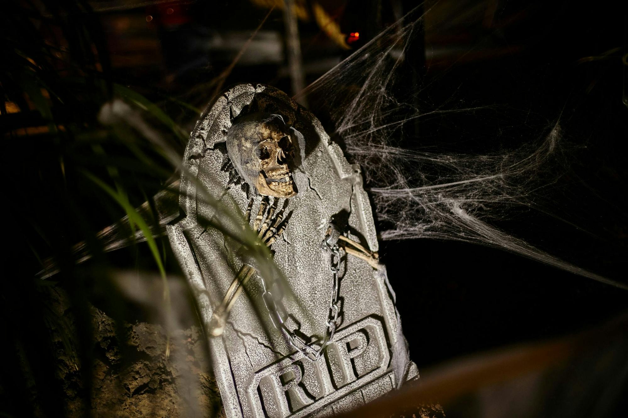 Western-themed Halloween Night with Transport