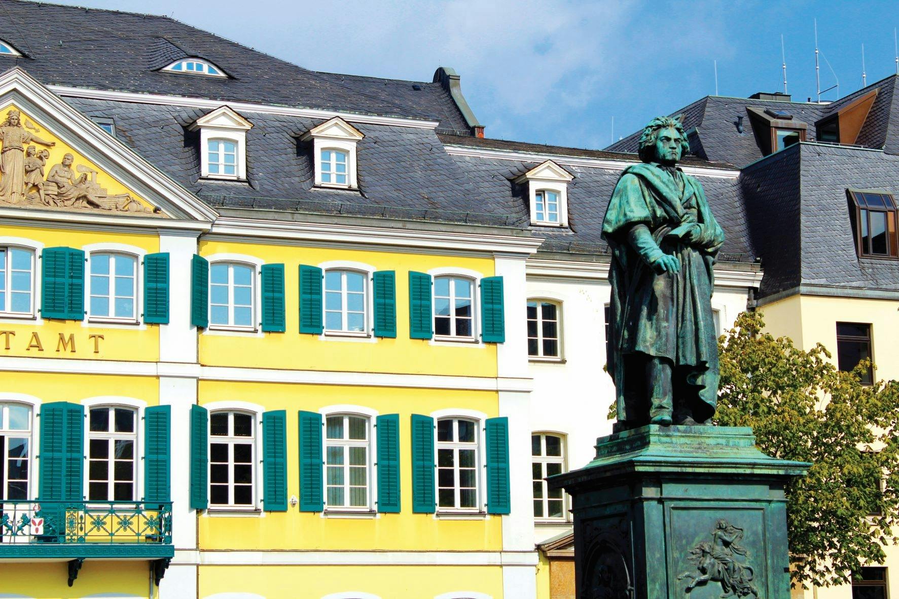 River Cruise Collection: Bonn City Tour and Government District