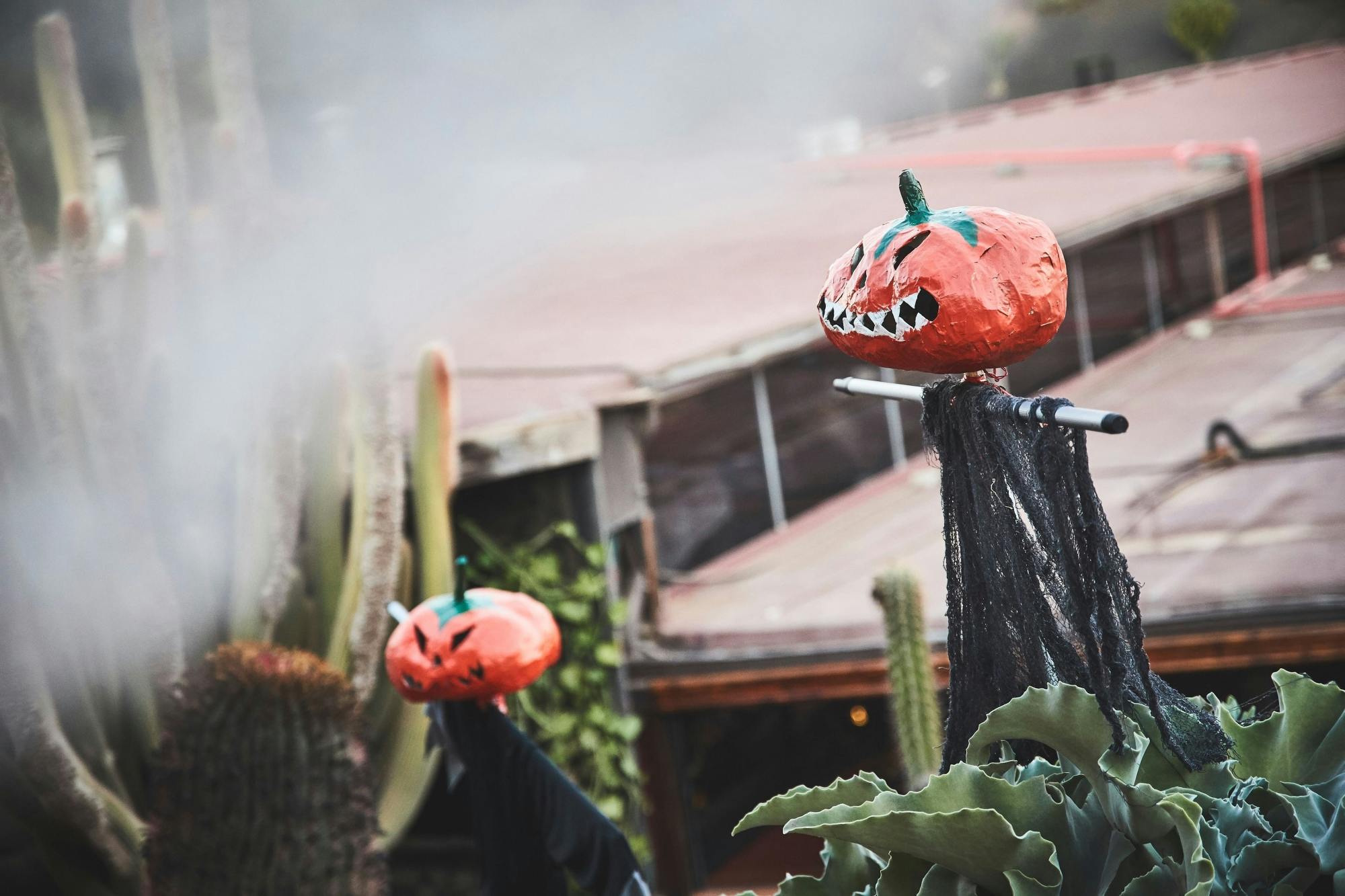 Western-themed Halloween Night Ticket