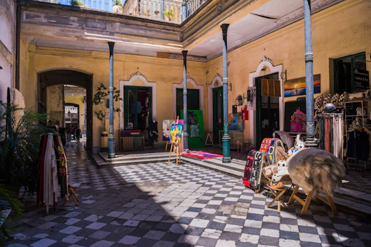 Walking private tour of Plaza de Mayo and San Telmo