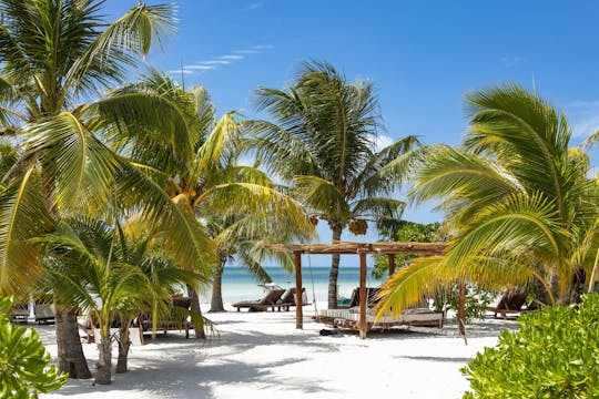 Holbox Island boat and buggy tour from Chiquila