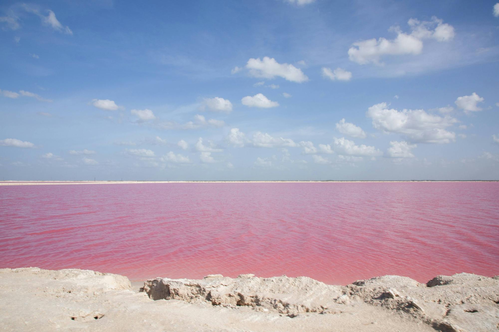 Tour of Valladolid with Crocodile Sanctuary and Salt Pans