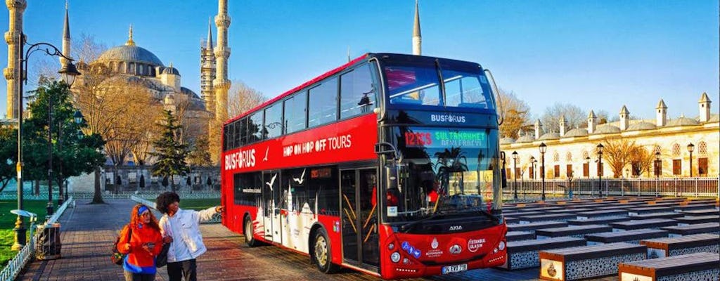 Tour de 1 día en autobús con paradas libres por Estambul