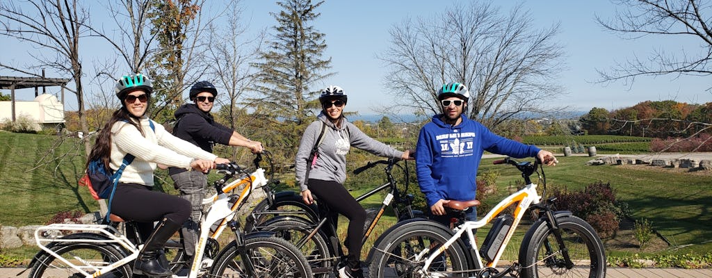 Guided E-bike wine tour of the Beamsville Bench