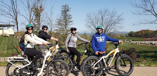 Guided E-bike wine tour of the Beamsville Bench