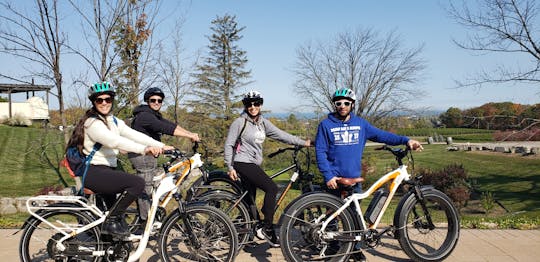 Visite guidée œnologique en vélo électrique dans le Beamsville Bench
