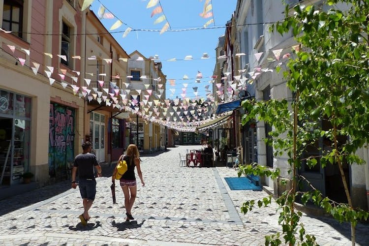 Plovdiv full day tour with rountrip transportation from Sofia