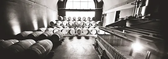 Historical and artistic visit of the cellars of the Canard Duchêne House