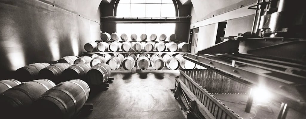 Historical and artistic visit of the cellars of the Canard Duchêne House