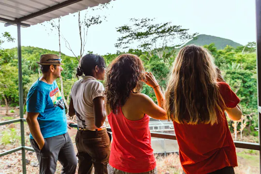 Mauritius Ebony Forest and bird watching tour