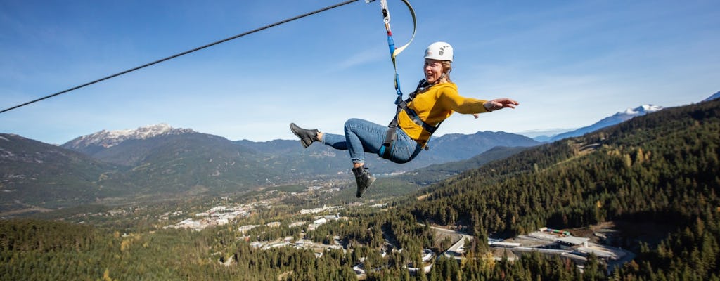 Bear zip tour in Whistler