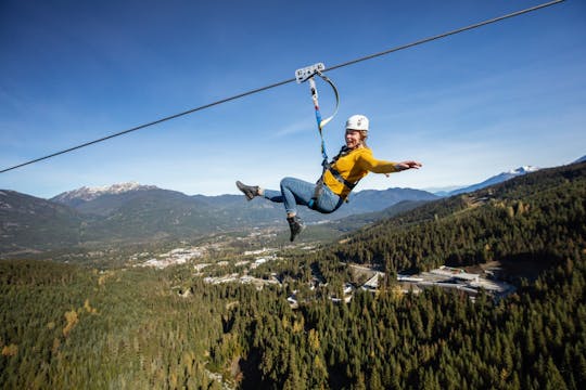 Niedźwiedź zip tour w Whistler