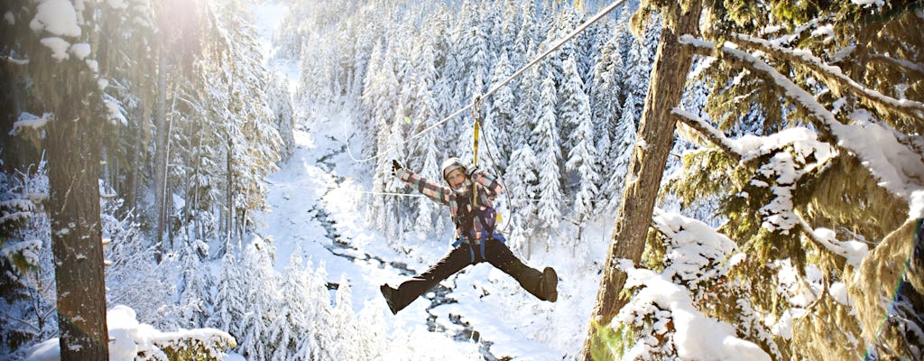 Whistler winter après tour