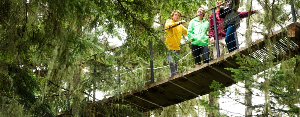 Visita guiada Tree Trek en Whistler