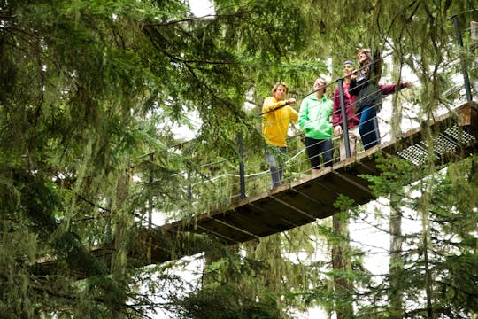 Passeio guiado pelas árvores em Whistler