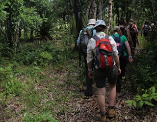 Tour de senderismo y bosque de ébano de Mauricio