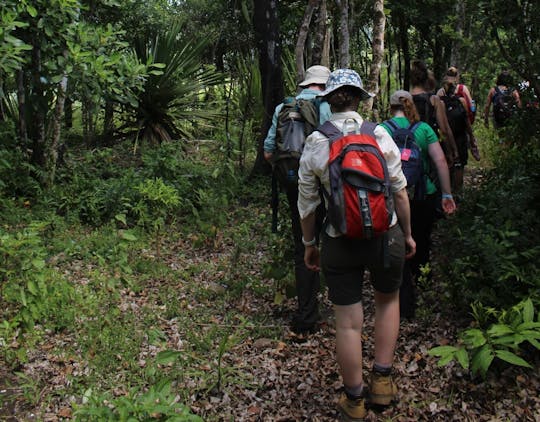 Tour de senderismo y bosque de ébano de Mauricio