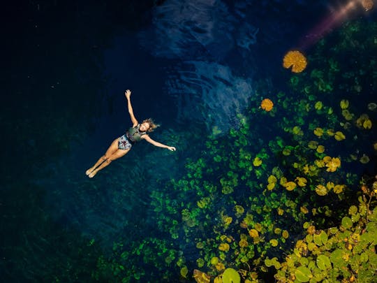 Xenotes Tour
