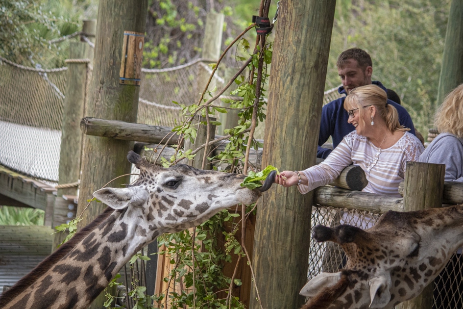 how long does it take to walk the brevard zoo