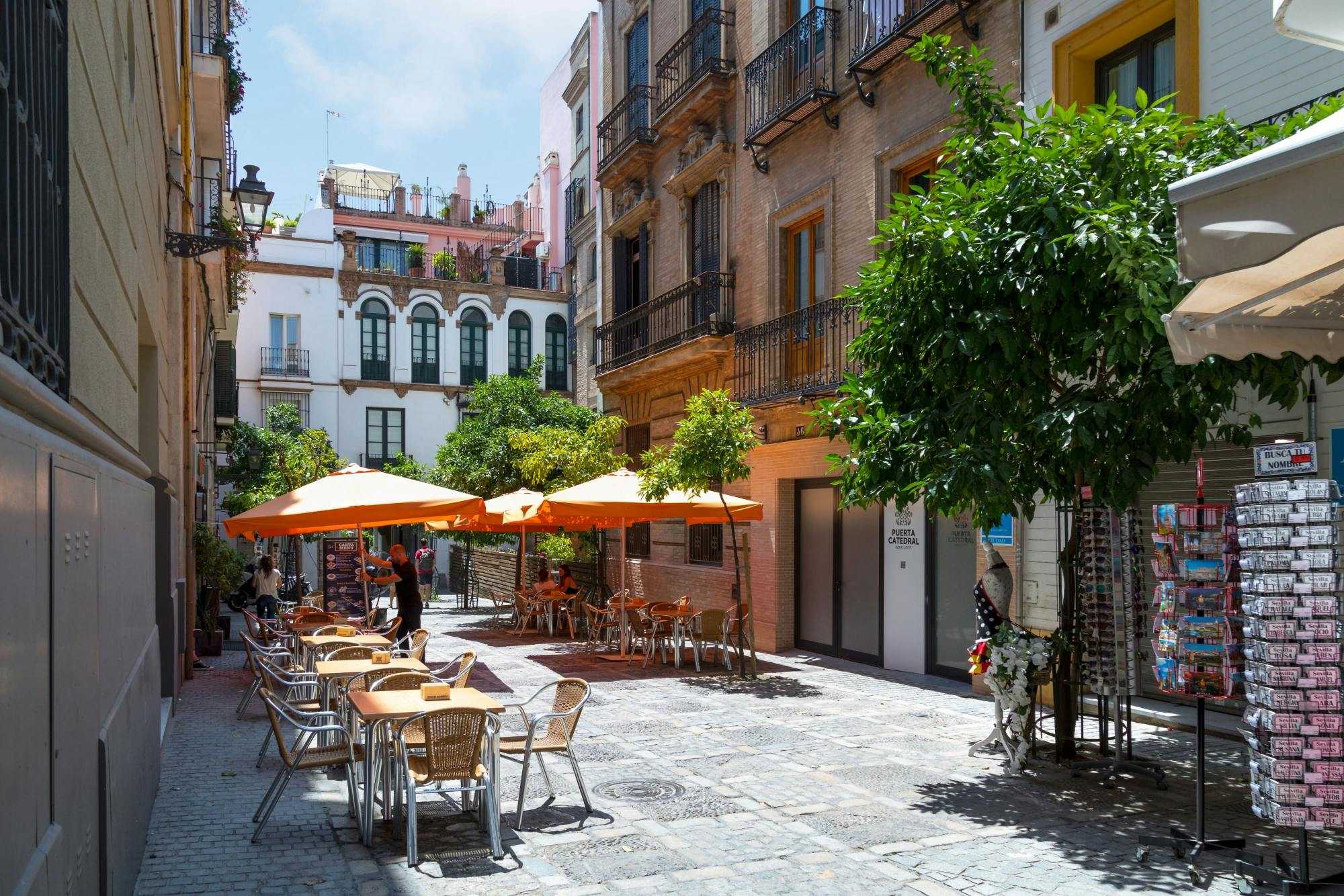 Tour of Seville with Panoramic Bus and Cathedral Visit