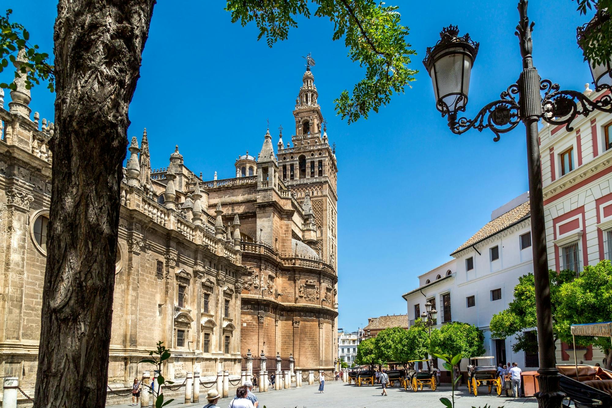 Tour of Seville with Panoramic Bus and Cathedral Visit