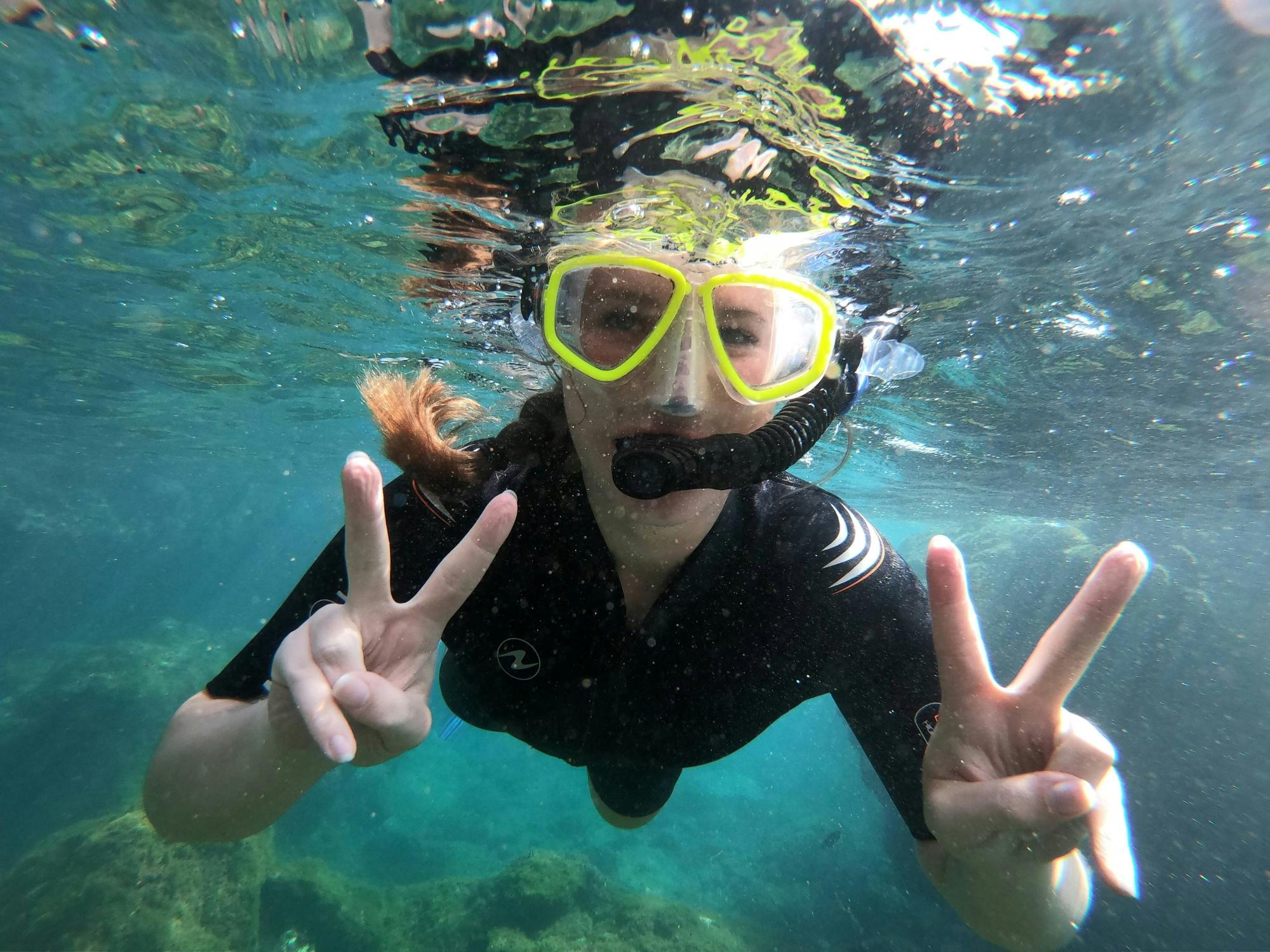 Snorkelling Tour in the South of Fuerteventura