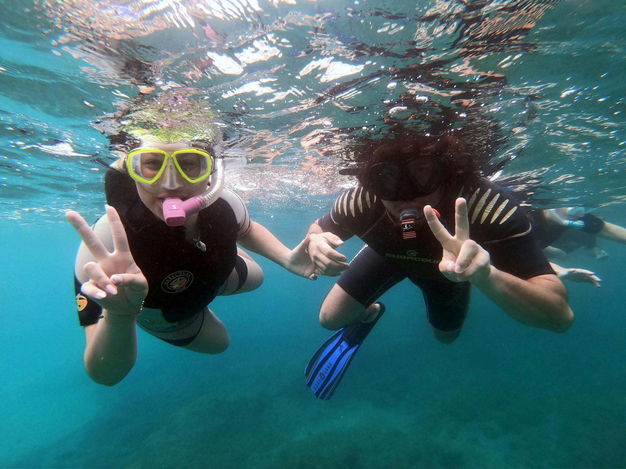 Snorkelling Tour in the South of Fuerteventura