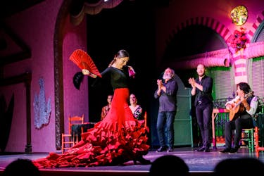 Spettacolo di flamenco e visita guidata della città a Siviglia