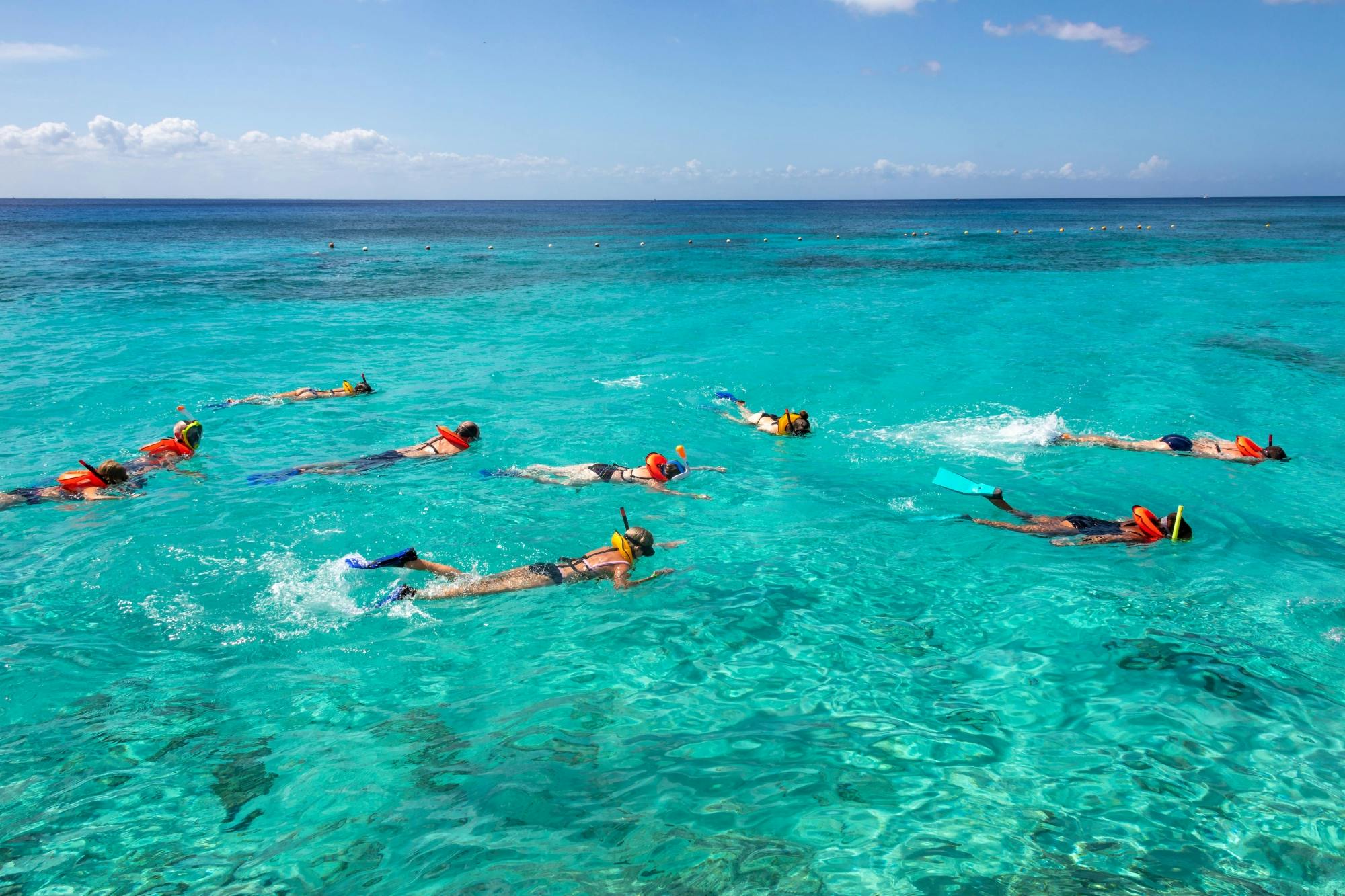 Udflugt på snorkling med skildpadder, cenote-svømning og strandklub