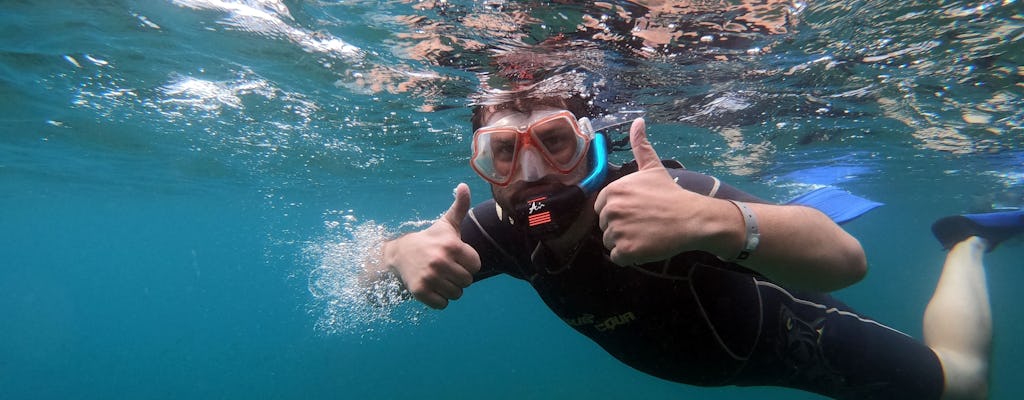 Snorkelling Tour in the South of Fuerteventura