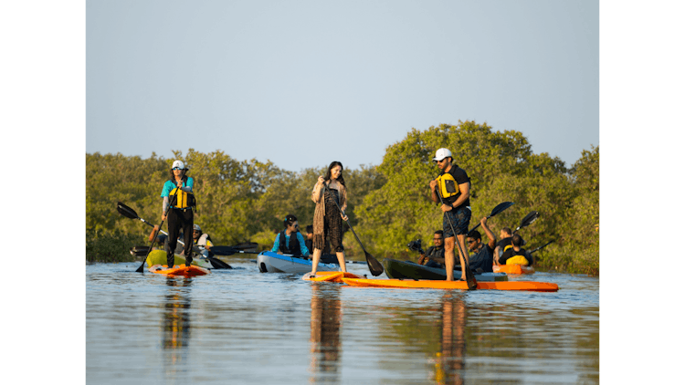 Mangroves kayaking and stand up paddling experience in Qatar