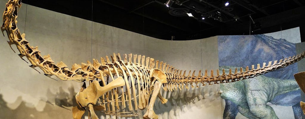 Denver Museum of Nature and Science ticket and audio tour