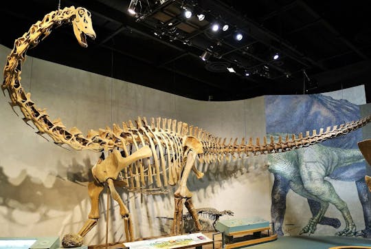 Denver Museum of Nature and Science ticket and audio tour
