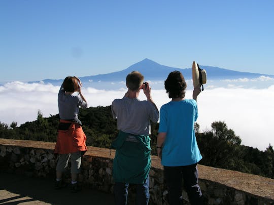 Fottur gjennom regnskogen på La Gomera