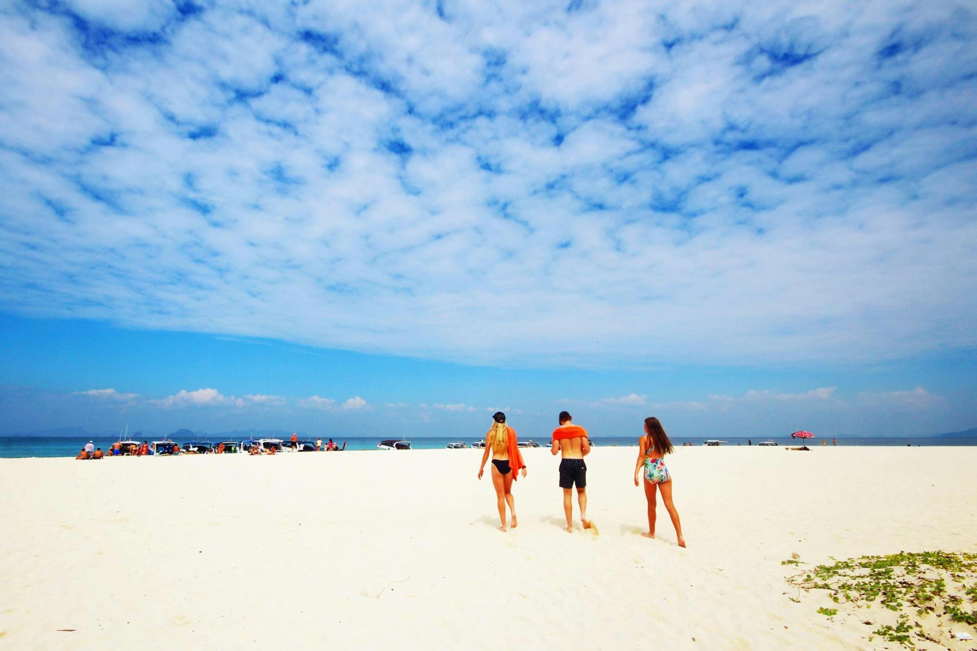 Full Day Phi Phi Island Speedboat Tour from Koh Lanta