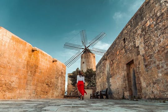 Pase de 6 días para patrimonio y atracciones en Malta