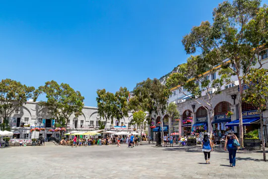 Gibraltar Tagestour mit Bootsfahrt zur Delfinbeobachtung