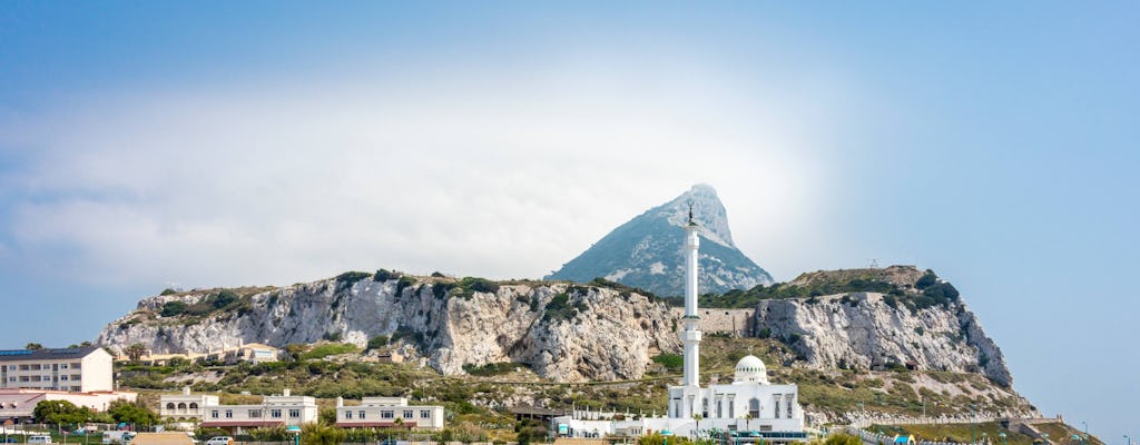 Gibraltar Tagestour mit Delfinbeobachtung und Besuch des Felsens