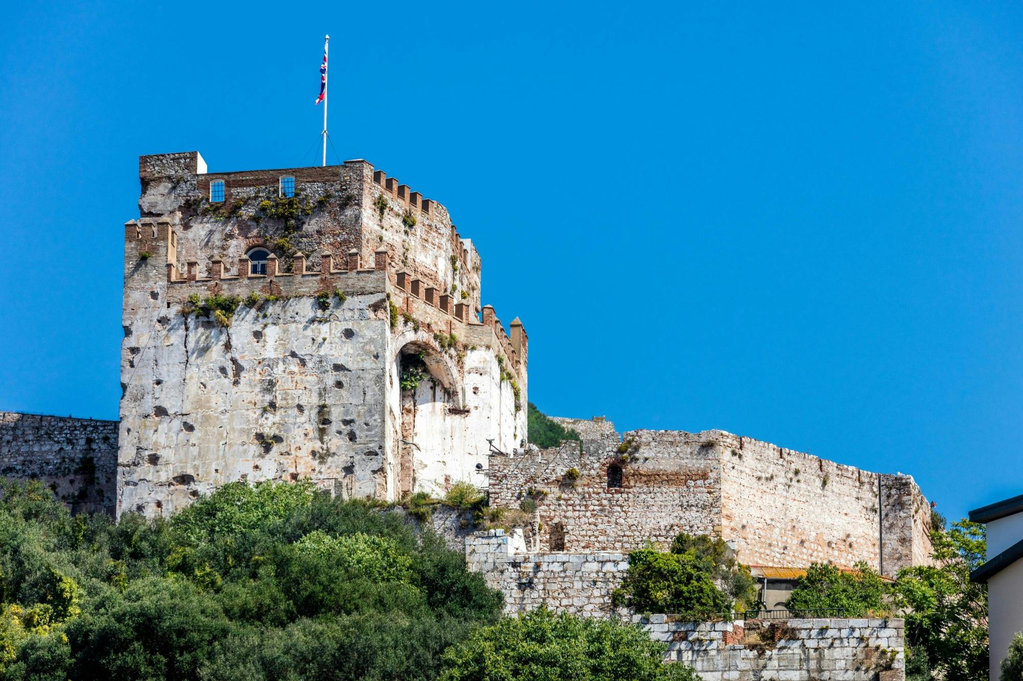 Gibraltar Day Trip with Dolphin Watching Boat Tour & Rock Visit