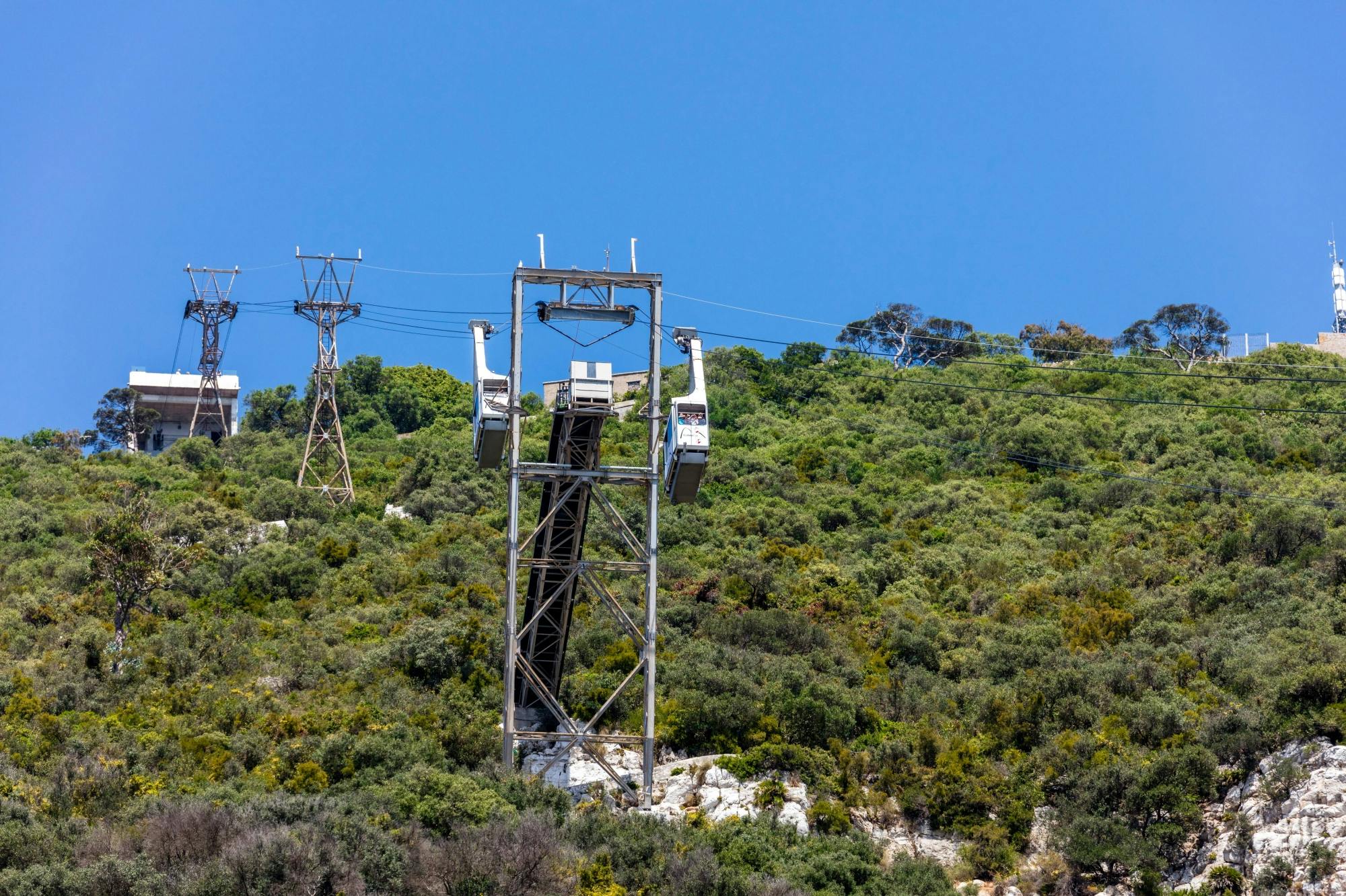 Gibraltar Day Trip with Dolphin Watching Boat Tour & Rock Visit